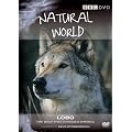 Natural World - Lobo: The Wolf that Changed America [DVD]