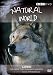 Natural World - Lobo - The Wolf That Changed America [DVD]