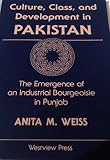 Culture, class, and development in Pakistan : the emergence of an industrial bourgeoisie in Punjab