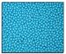 1000 Bag .12g 6mm BBs for Airsoft Guns