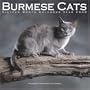 Burmese Cats 2008 Wall Calendar