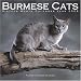   - Burmese Cats 2008 Wall Calendar