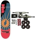 ALIEN WORKSHOP Skateboard JASONE DILL Colorblind SALE