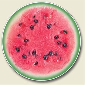 Scented Watermelon Auto Coaster - Coaster for Your Car by Highland Graphics Creative Ventures
