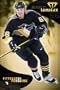 Mario Lemieux Pittsburgh Penguins Poster 3084