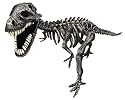 Mega Bloks MagNext T- Rex Magna Bones