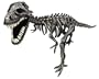 Mega Bloks Magnext Magna Bones T-Rex