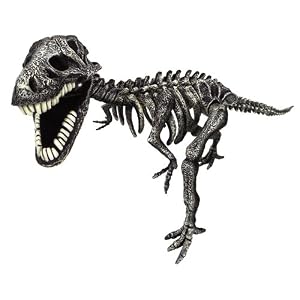 Magnext Magna Bones T-Rex