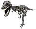Magnext Magna Bones T-Rex