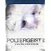 Poltergeist 2 - L'Altra Dimensione