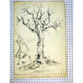 C1810 Antique Drawing Tree Corruption Man Reform Bill