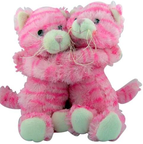 Valentines Day Gift Set Pink Fur Hugging Cats with Candy Love Lollipop in Red White Heart Bucket