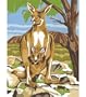 9 Inch x12 Inch Junior Paint By Number Kit - Kangaroo