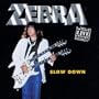 Slow Down Live