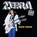 Zebra-Slow Down Live