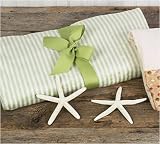 Royal Palm Coconut Lime Spa Blankie - Green Stripes