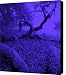 Blue Dreaming Moon Canvas Print / Canvas Art - Artist JoAnn SkyWatcher