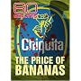 60 Minutes - The Price of Bananas (May 11, 2008)