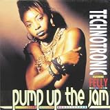 Pump Up the Jam (12 inch vinyl single)