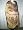 Designer Brown Beige Cutwork Jamawar Pashmina India Shawl Wrap Throw 80x43 Image #2