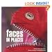 Faces in Places: A Photographic Collection of Faces found in Everyday Places