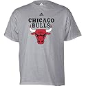 adidas Chicago Bulls Primary Logo Short Sleeve T-Shirt