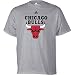 Search : adidas Chicago Bulls Primary Logo Short Sleeve T-Shirt