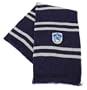 Harry Potter Ravenclaw Scarf - Midnight Blue and Grey