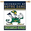 Notre Dame Fighting Irish NCAA Vertical Flag (27x37) by Wincraft