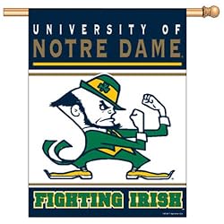 Notre Dame Fighting Irish NCAA Vertical Flag (27x37) by Wincraft