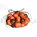 Mini mixed pumpkins and gourds