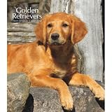 Golden Retrievers 2009 Hardcover Weekly Engagement Calendar