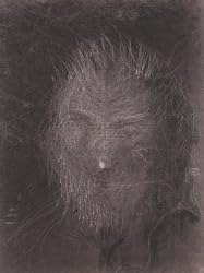Miquel Barceló: Artist's Portfolio