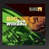 Blues Masters Volume 6 (Big Joe Williams)
