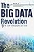 The Big Data Revolution
