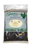 Tribest SEED11008 Baby Sunflower - 8 oz