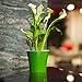 Santino Self Watering Planter Arte 8.6 Inch Green/Black Indoor Flower Pot for All House Plants, Flowers, Herbs, Succulents