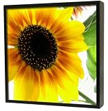 Design Schluesselkasten Sonnenblume Schluessel schwarz original ELECSA 1011