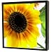 Garten & Freizeit : Design Schlüsselkasten Sonnenblume Schlüssel schwarz original ELECSA 1011