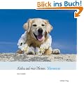 Aloha auf vier Pfoten Momente