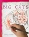 Big Cats (How to Draw)
