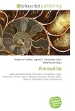 Ammolite: Opal, Gemstone, Rocky Mountains, Chrysoberyl, Fossil, Ammonite, Mineral, Nacre, Biogenic substance, Amber, CIBJO, Alberta, Lethbridge, Korite International