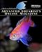 Advanced Aquarist's Online Magazine, Volume VII, Book I: 2008 Edition
