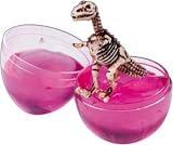 Fossil Egg Dinosaur