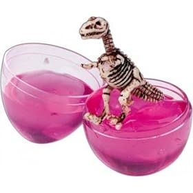 Fossil Egg Dinosaur