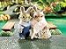 Calico Critter Cottontail Rabbit Grandparents