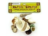 bag of large natural craft shells -assortment may vary - Pack of 72