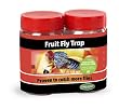 Tanglefoot 300000163 Fruit Fly Trap - 2 Pack