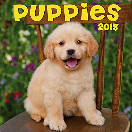 2015 Puppies