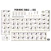 Periodic Table of Sex (Reference Guide) Art Poster Print - 24x36 Poster Print, 36x24